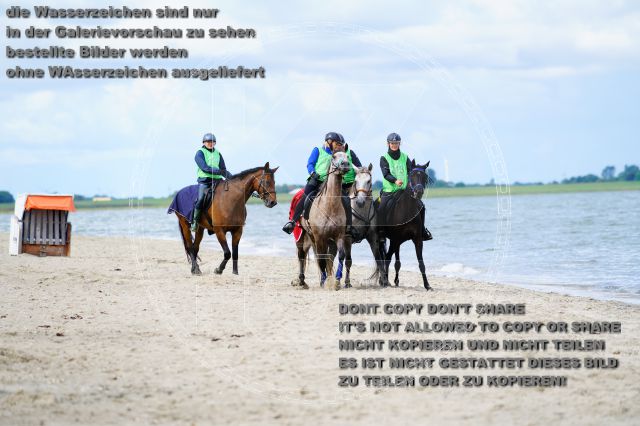 s_K3F05112.JPG